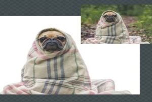 تحميل AutoClipping